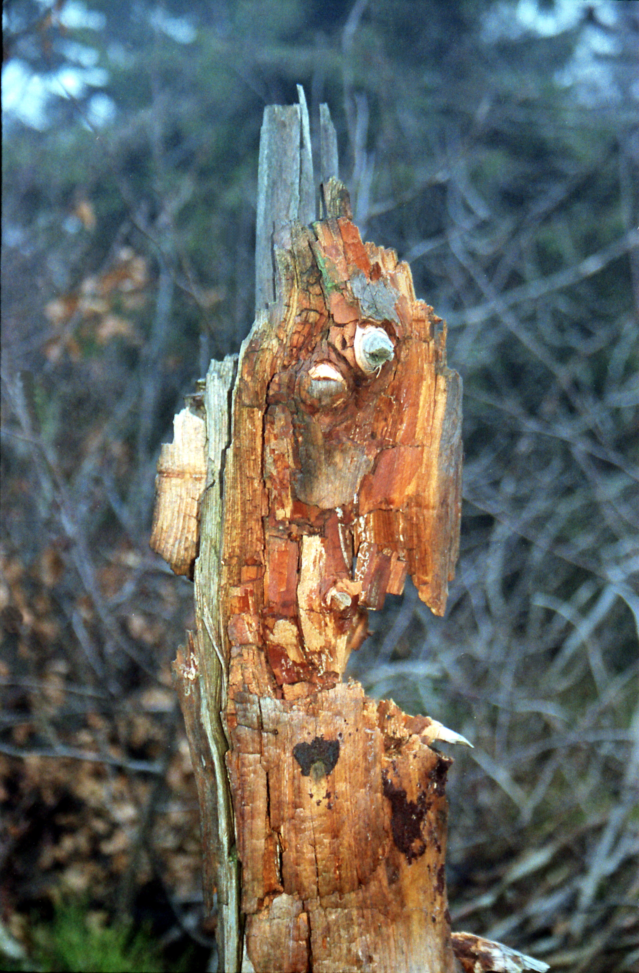 Radegast-11-2003_0004